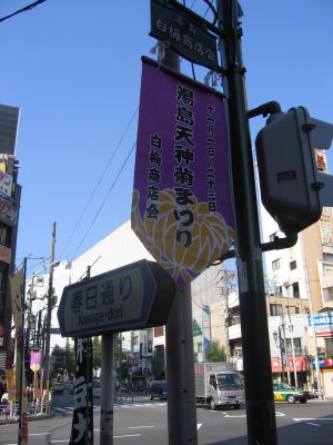 tʂ𐼐i